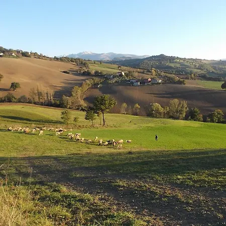 Dai Nonni Bed & Breakfast Camerino